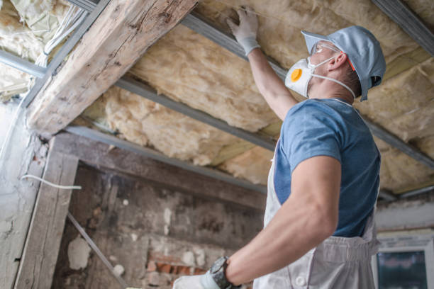Best Energy Efficiency Insulation in Meadows Place, TX