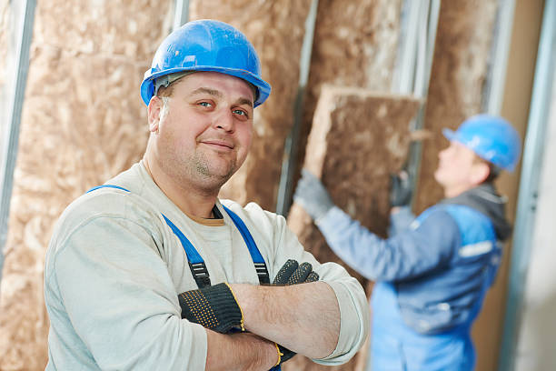 Best Cellulose Insulation in Meadows Place, TX