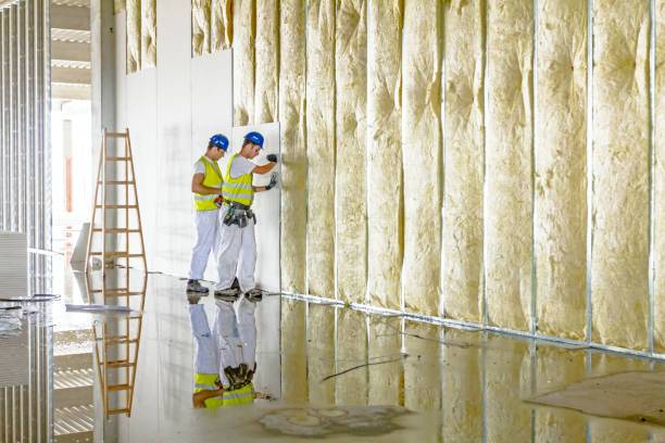 Best Blown-in Insulation in Meadows Place, TX